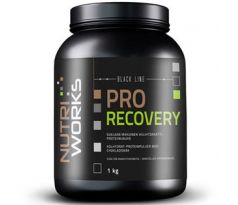NutriWorks Pro Recovery 1 kg - malina
