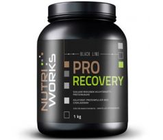 NutriWorks Pro Recovery 1 kg - čokoláda