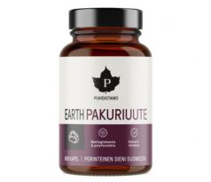 Puhdistamo Earth Chaga BIO 60 kapslí