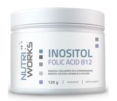 NutriWorks Inositol Folic Acid B12 120 g